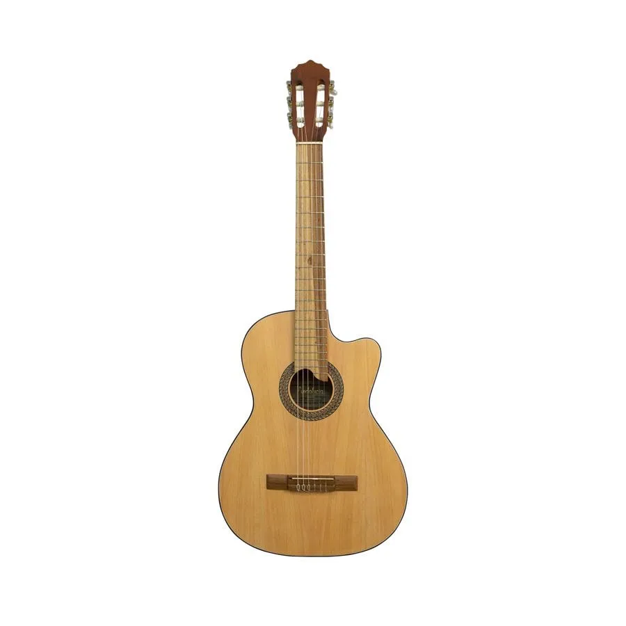 REQUINTO ANDALUCÍA – PINO CIPRES